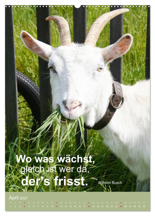 Nimm das Leben leicht, auch wenn's manchmal schwerfällt (CALVENDO Wandkalender 2027)