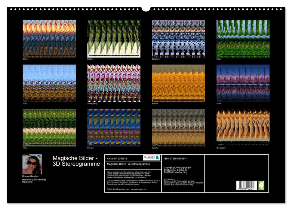 Magische Bilder - 3D Stereogramme (CALVENDO Wandkalender 2027)