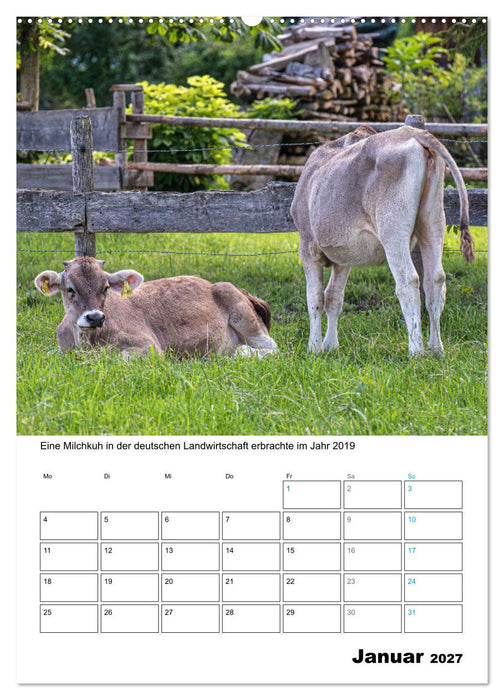 Liebenswerte Landtiere (CALVENDO Premium Wandkalender 2027)