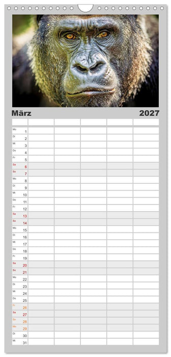 Die Augen der Wildnis (CALVENDO Familienplaner 2027)