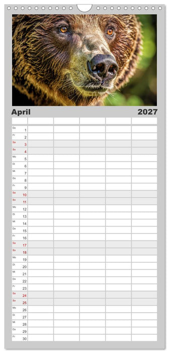 Die Augen der Wildnis (CALVENDO Familienplaner 2027)