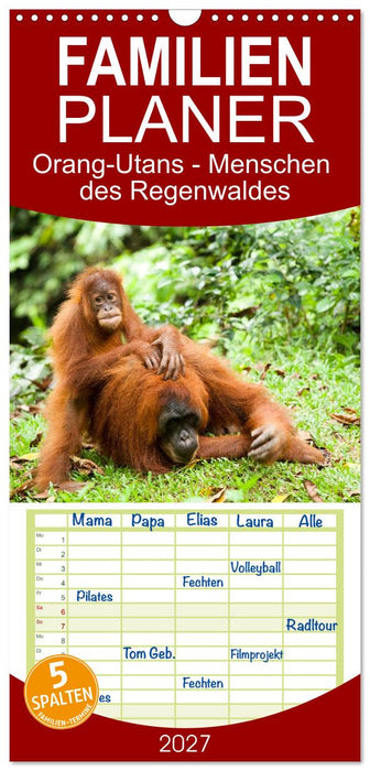 Orang-Utans - Menschen des Regenwaldes (CALVENDO Familienplaner 2027)