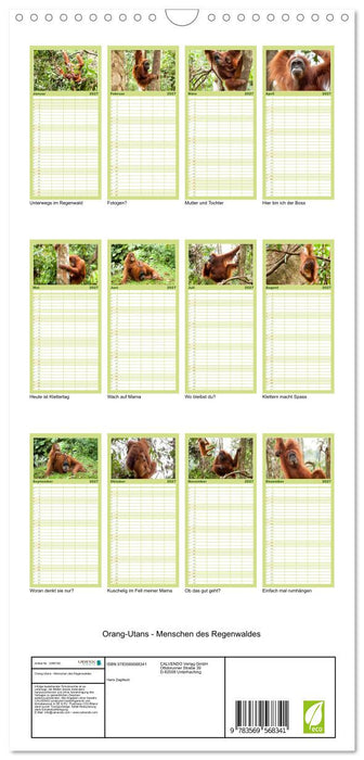 Orang-Utans - Menschen des Regenwaldes (CALVENDO Familienplaner 2027)