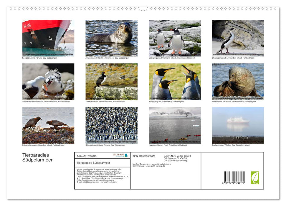 Tierparadies Südpolarmeer (CALVENDO Premium Wandkalender 2027)