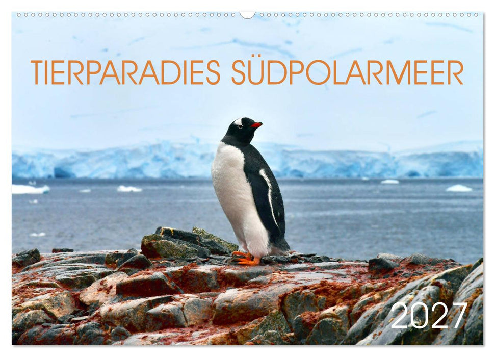Tierparadies Südpolarmeer (CALVENDO Wandkalender 2027)