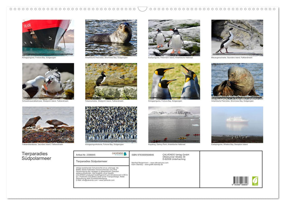 Tierparadies Südpolarmeer (CALVENDO Wandkalender 2027)