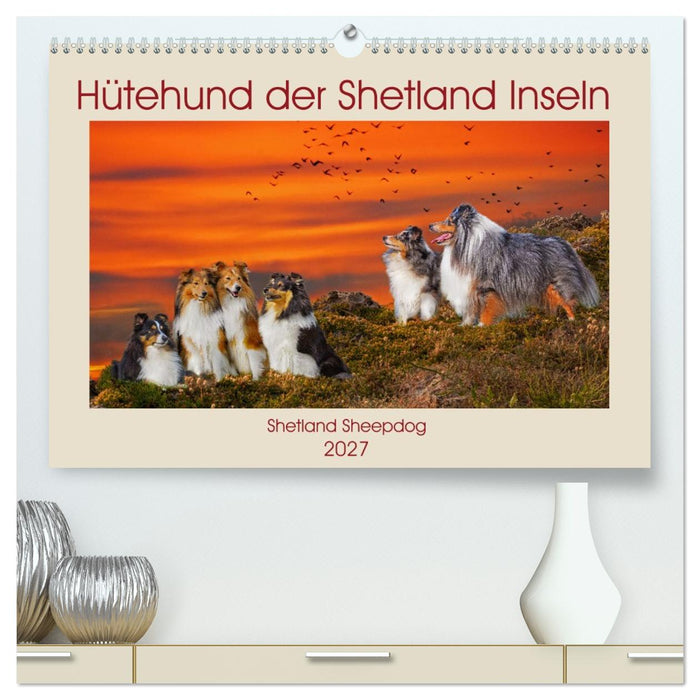 Hütehund der Shetland Inseln - Shetland Sheepdog (CALVENDO Premium Wandkalender 2027)