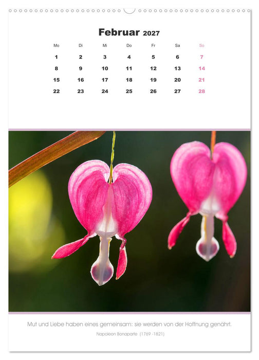Attraktive Herzmotive 2027 (CALVENDO Wandkalender 2027)