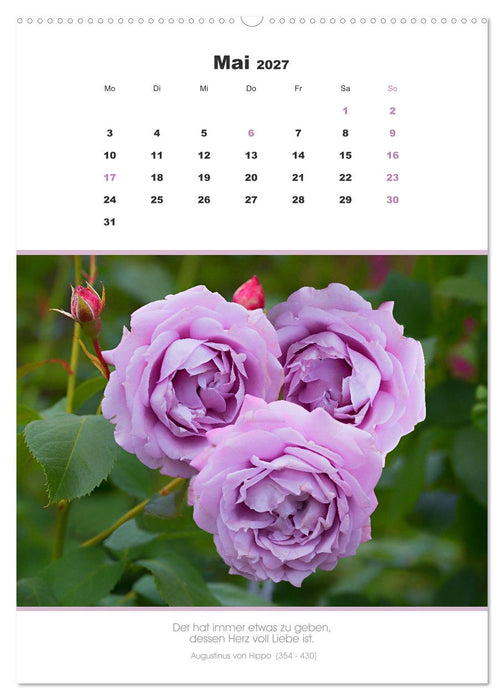 Attraktive Herzmotive 2027 (CALVENDO Wandkalender 2027)