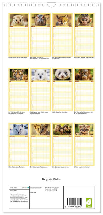 Babys der Wildnis (CALVENDO Familienplaner 2027)