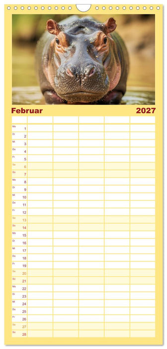 Babys der Wildnis (CALVENDO Familienplaner 2027)
