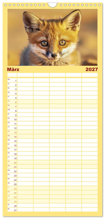Babys der Wildnis (CALVENDO Familienplaner 2027)