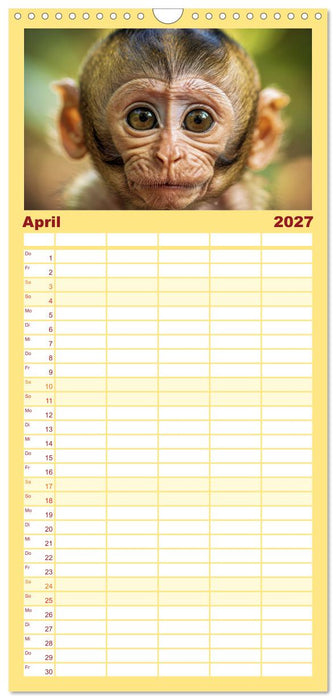 Babys der Wildnis (CALVENDO Familienplaner 2027)