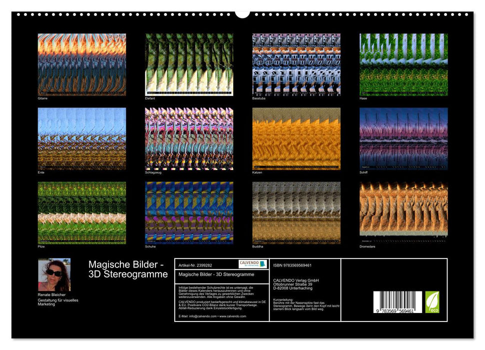 Magische Bilder - 3D Stereogramme (CALVENDO Premium Wandkalender 2027)