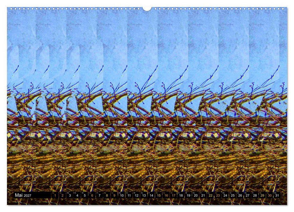 Magische Bilder - 3D Stereogramme (CALVENDO Premium Wandkalender 2027)