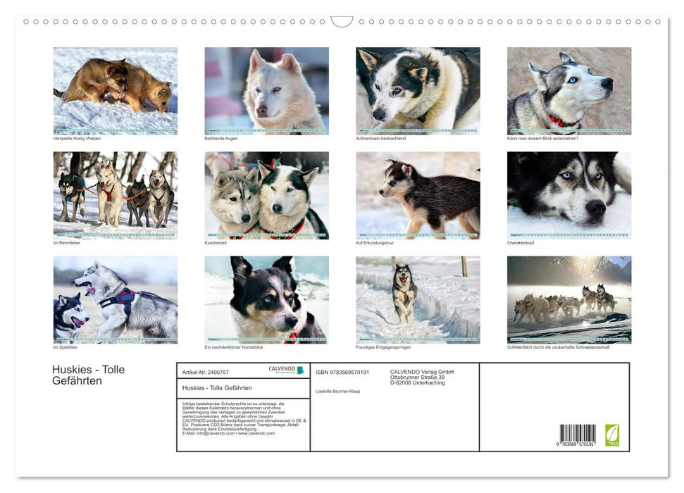 Huskies - Tolle Gefährten (CALVENDO Wandkalender 2027)