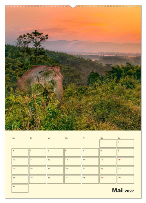 ELEFANTEN - Asiens graue Riesen (CALVENDO Wandkalender 2027)