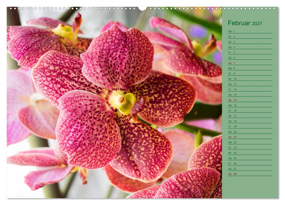 Farbzauber Natur Orchideen - CH Version (CALVENDO Wandkalender 2027)