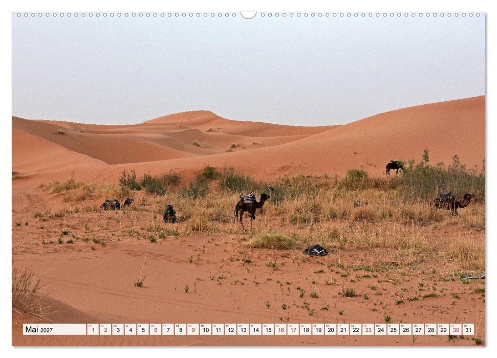 Die SAHARA in Marokko, Faszinierende Wüstenregionen (CALVENDO Premium Wandkalender 2027)