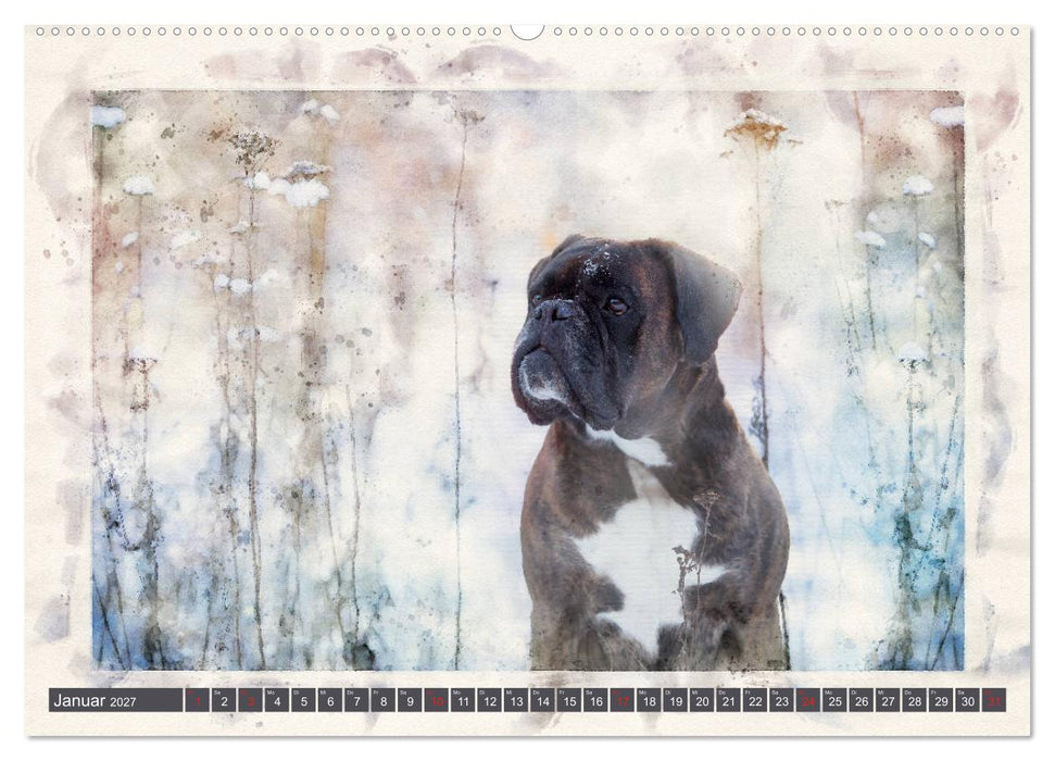 Boxer Photo&Kunst (CALVENDO Premium Wandkalender 2027)