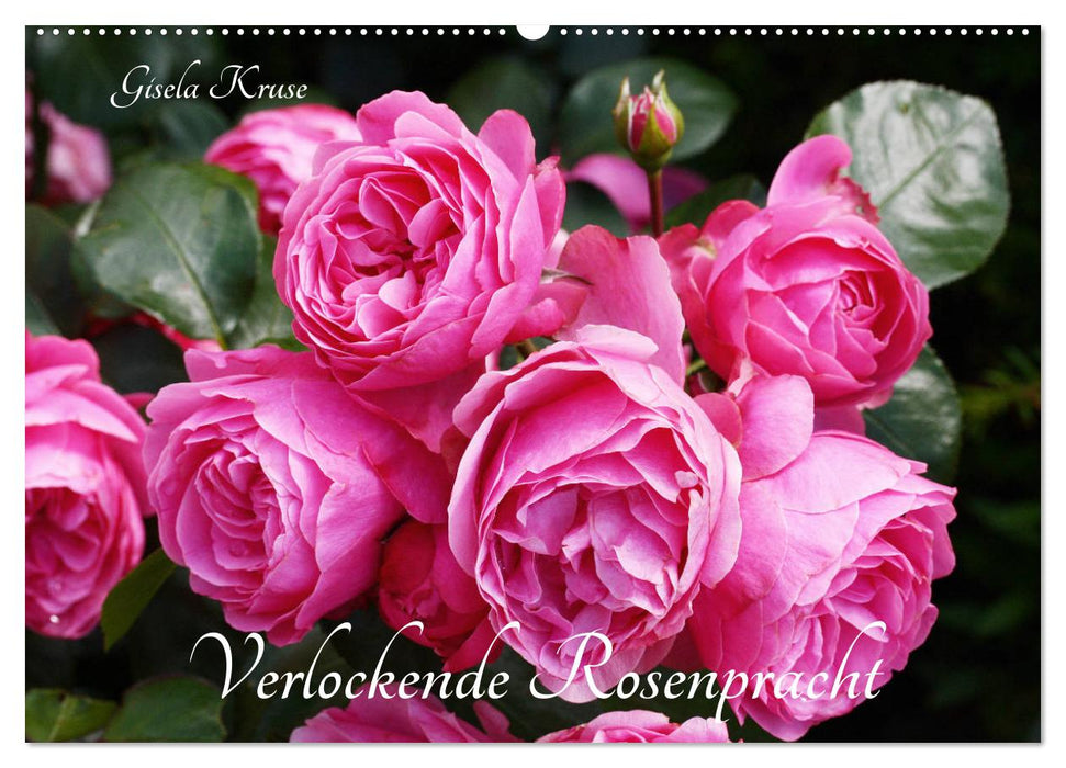 Verlockende Rosenpracht (CALVENDO Wandkalender 2027)