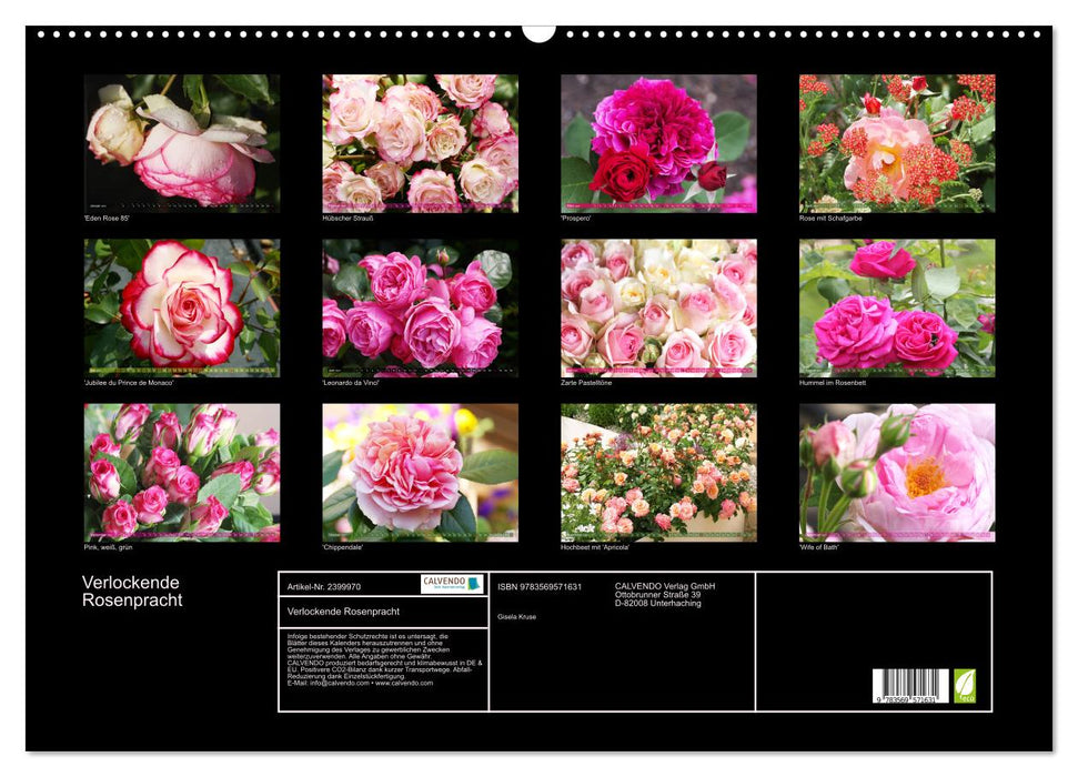 Verlockende Rosenpracht (CALVENDO Wandkalender 2027)
