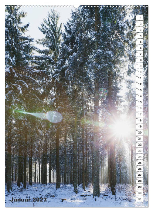 EIFEL - Kraftorte Wald und Wasser (CALVENDO Premium Wandkalender 2027)