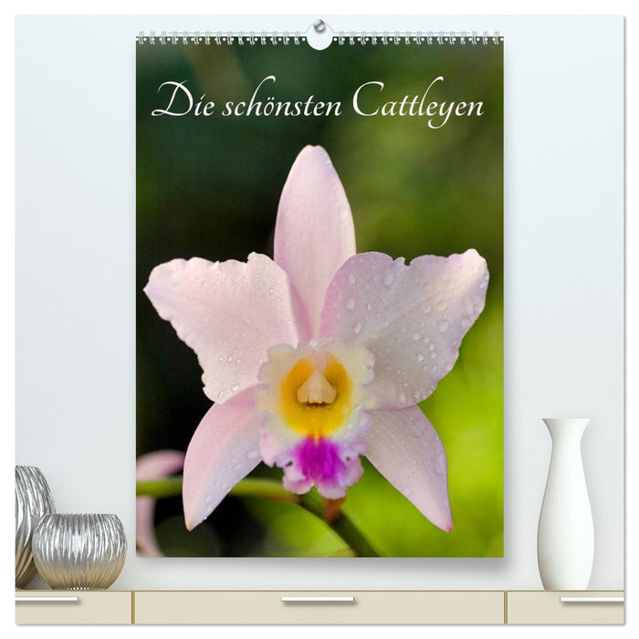 Die schönsten Cattleyen (CALVENDO Premium Wandkalender 2027)