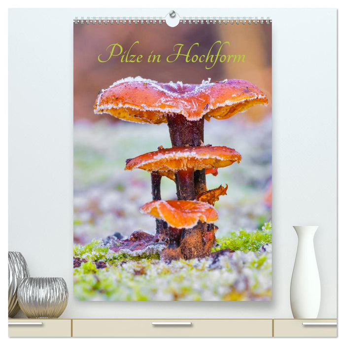 Pilze in Hochform (CALVENDO Premium Wandkalender 2027)