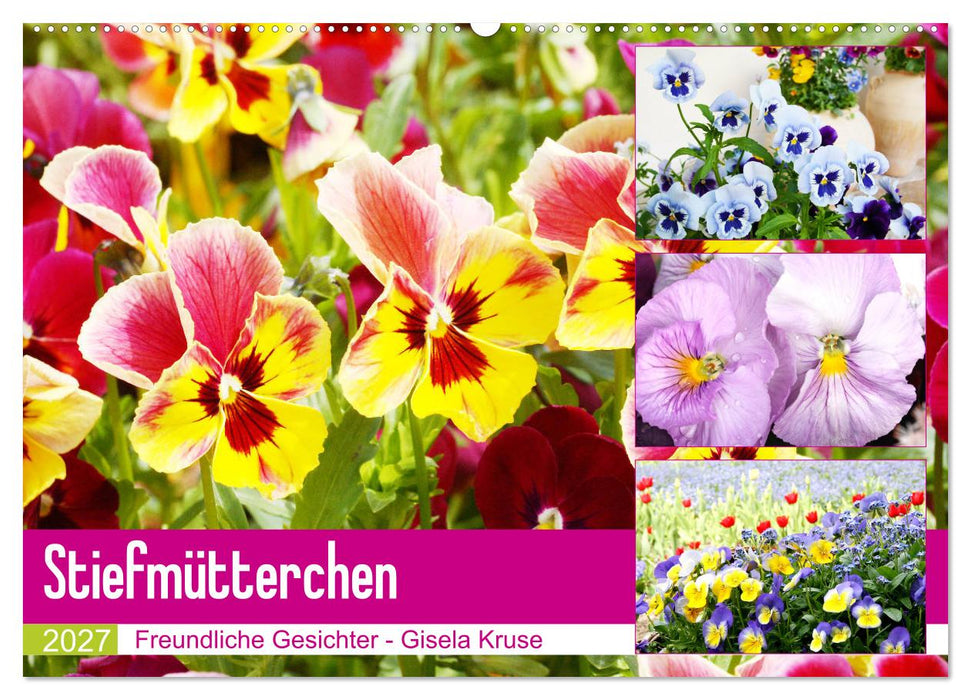 Stiefmütterchen Freundliche Gesichter (CALVENDO Wandkalender 2027)