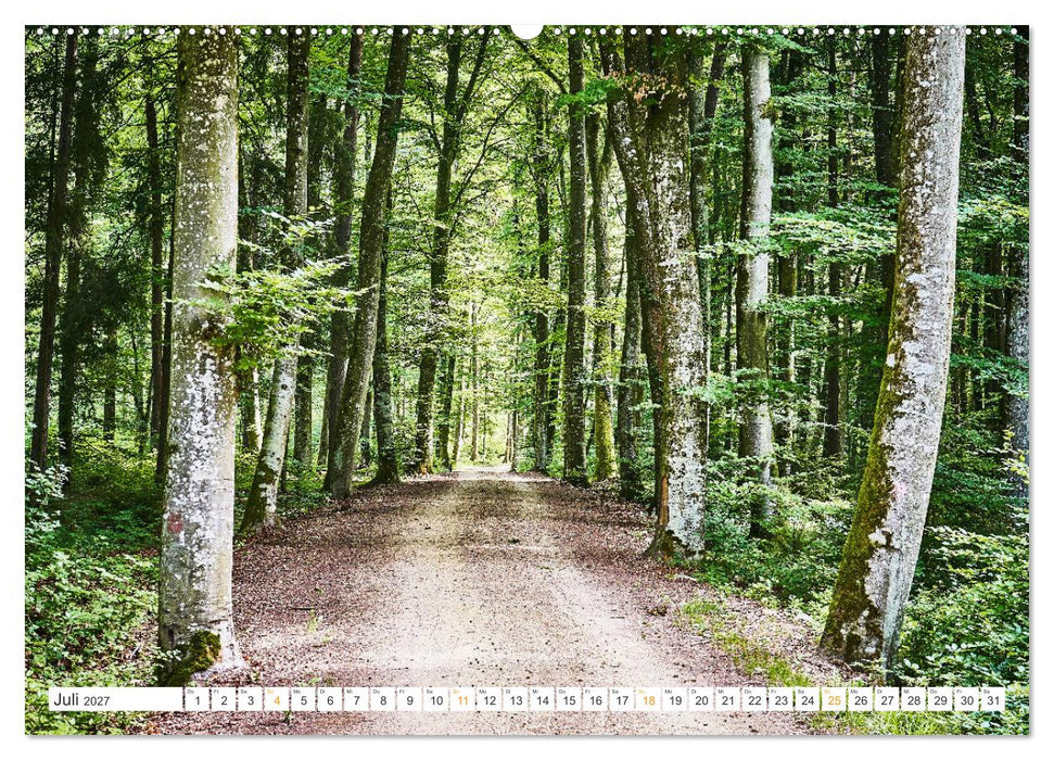 Bäume im Altmühltal (CALVENDO Premium Wandkalender 2027)