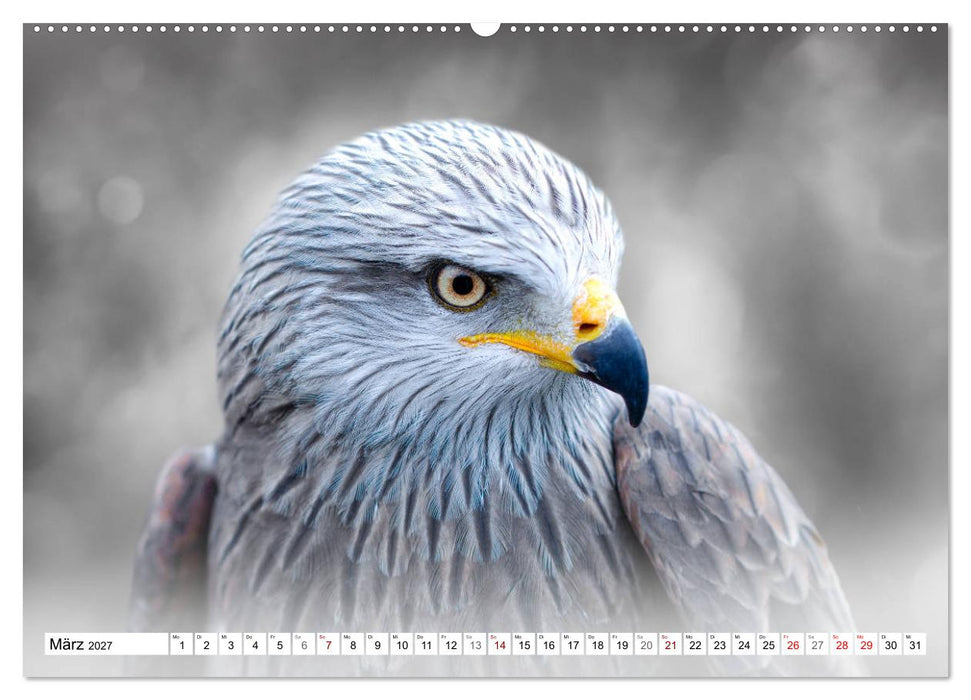 Erfolgreiche Jäger (CALVENDO Premium Wandkalender 2027)
