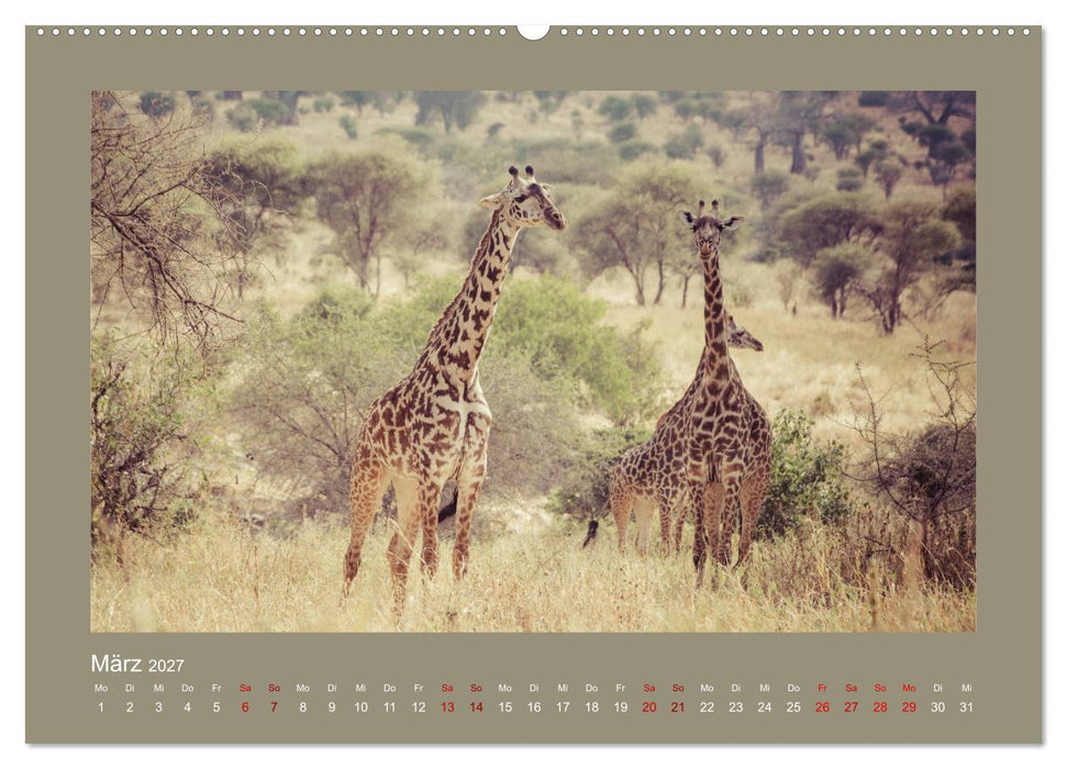 Tansania - Mensch, Tier und Landschaft (CALVENDO Premium Wandkalender 2027)