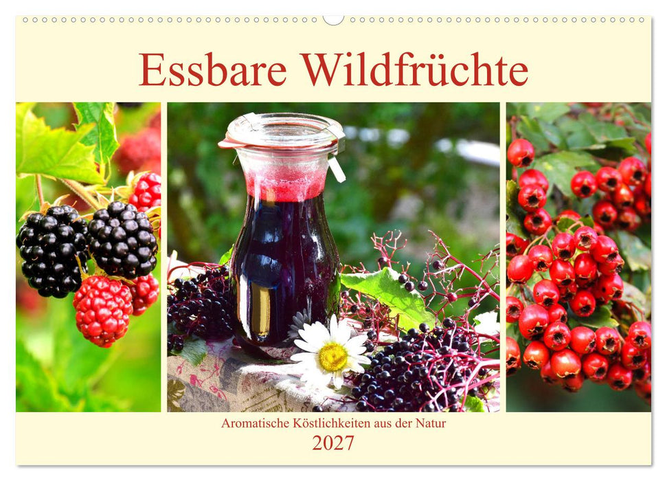 Essbare Wildfrüchte. Aromatische Köstlichkeiten aus der Natur (CALVENDO Wandkalender 2027)
