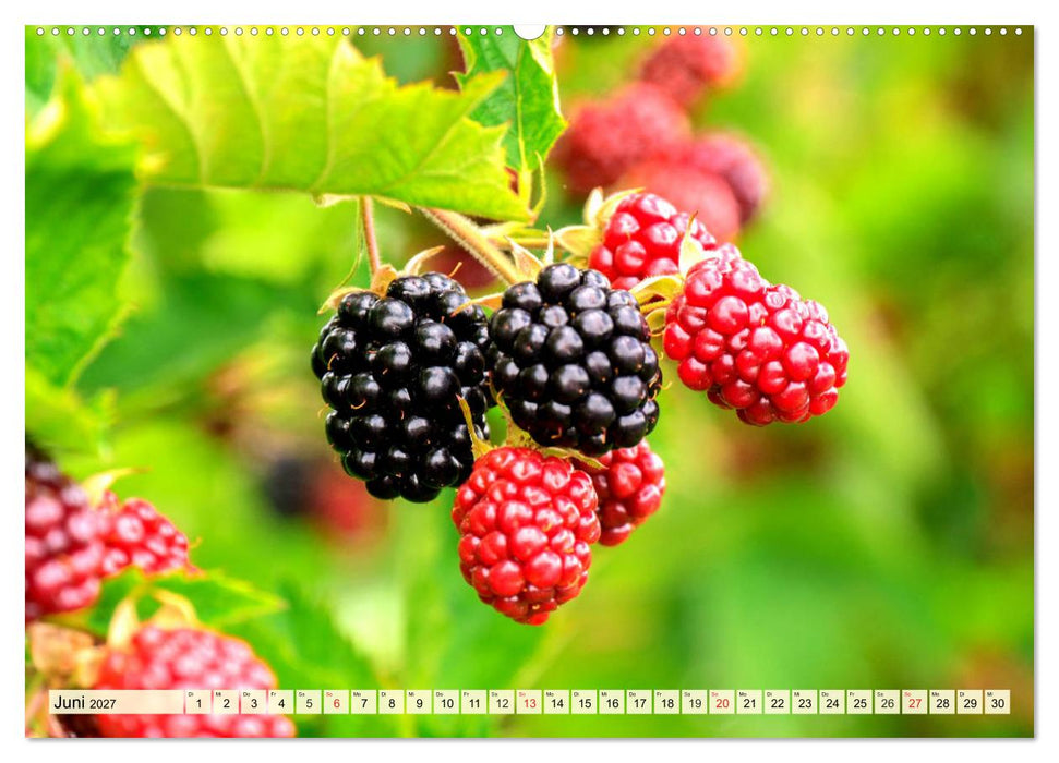 Essbare Wildfrüchte. Aromatische Köstlichkeiten aus der Natur (CALVENDO Wandkalender 2027)