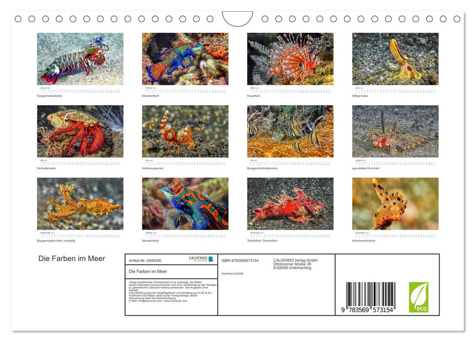 Die Farben im Meer (CALVENDO Wandkalender 2027)
