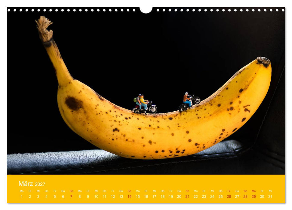Neue Miniaturen - Klein ganz groß 2.0 (CALVENDO Wandkalender 2027)