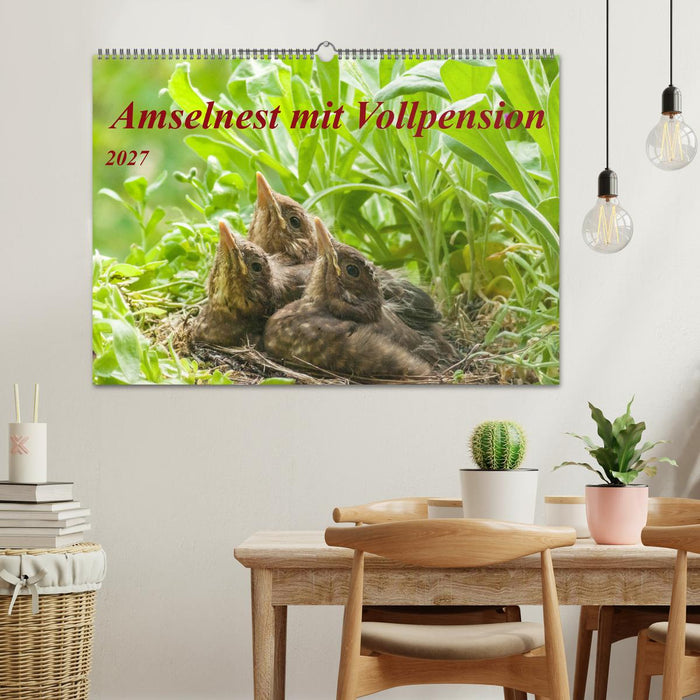 Amselnest mit Vollpension (CALVENDO Wandkalender 2027)