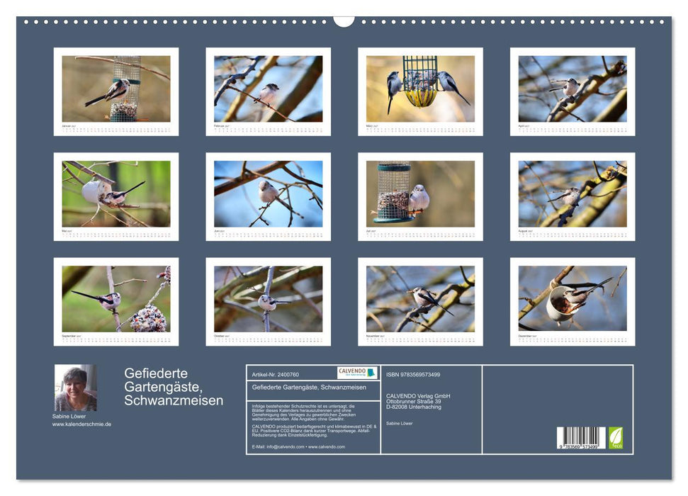 Gefiederte Gartengäste, Schwanzmeisen (CALVENDO Wandkalender 2027)