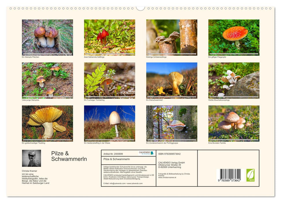 Pilze & Schwammerln (CALVENDO Premium Wandkalender 2027)
