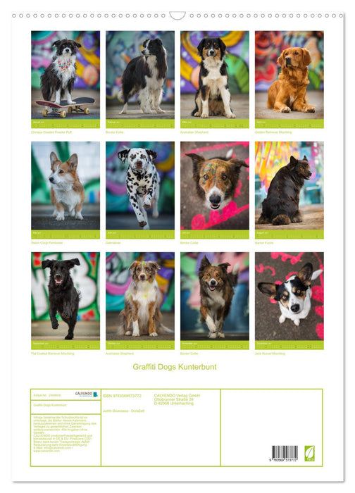 Graffiti Dogs Kunterbunt (CALVENDO Wandkalender 2027)