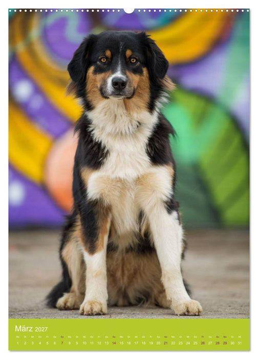 Graffiti Dogs Kunterbunt (CALVENDO Wandkalender 2027)