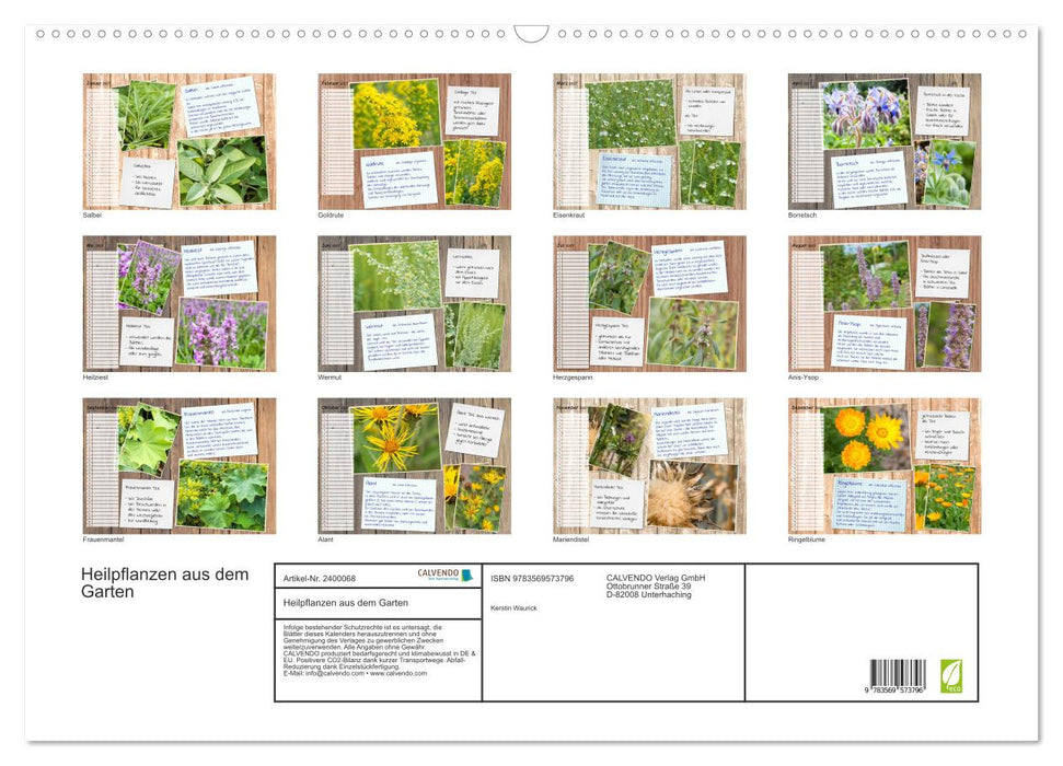 Heilpflanzen aus dem Garten (CALVENDO Wandkalender 2027)