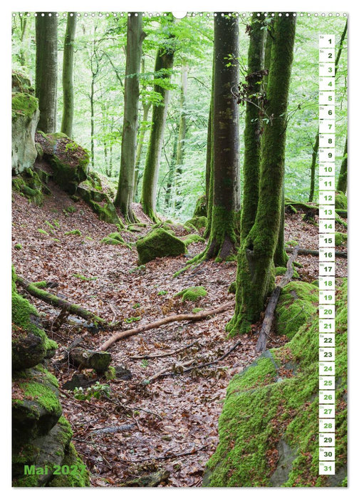 EIFEL - Kraftorte Wald und Wasser (CALVENDO Wandkalender 2027)