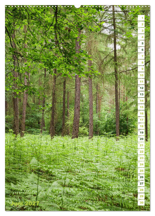 EIFEL - Kraftorte Wald und Wasser (CALVENDO Wandkalender 2027)