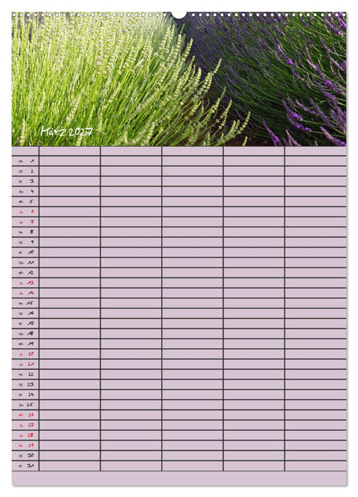 Naturzauber Lavendel - Familienplaner (CALVENDO Premium Wandkalender 2027)