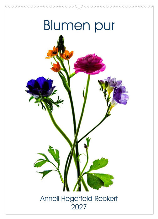 Blumen pur (CALVENDO Wandkalender 2027)