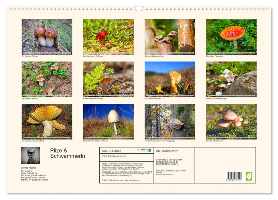 Pilze & Schwammerln (CALVENDO Wandkalender 2027)