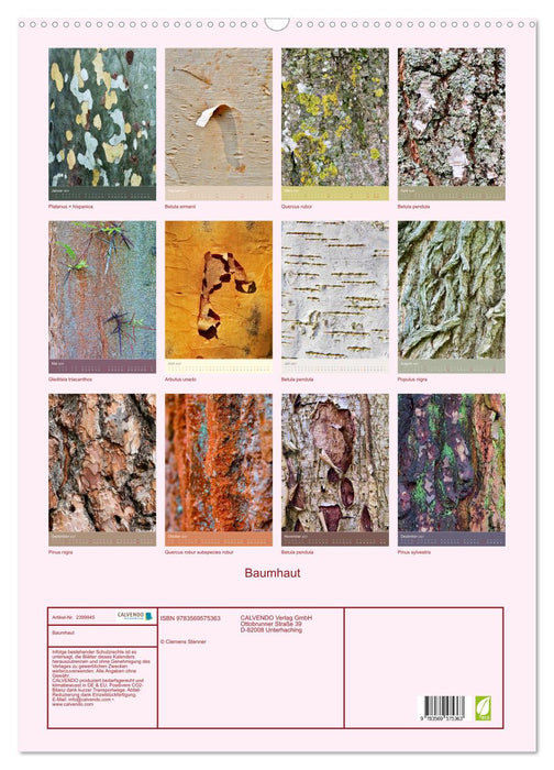 Baumhaut (CALVENDO Wandkalender 2027)