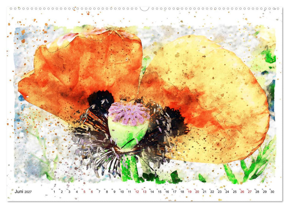 Mohnblüten in Aquarell (CALVENDO Premium Wandkalender 2027)